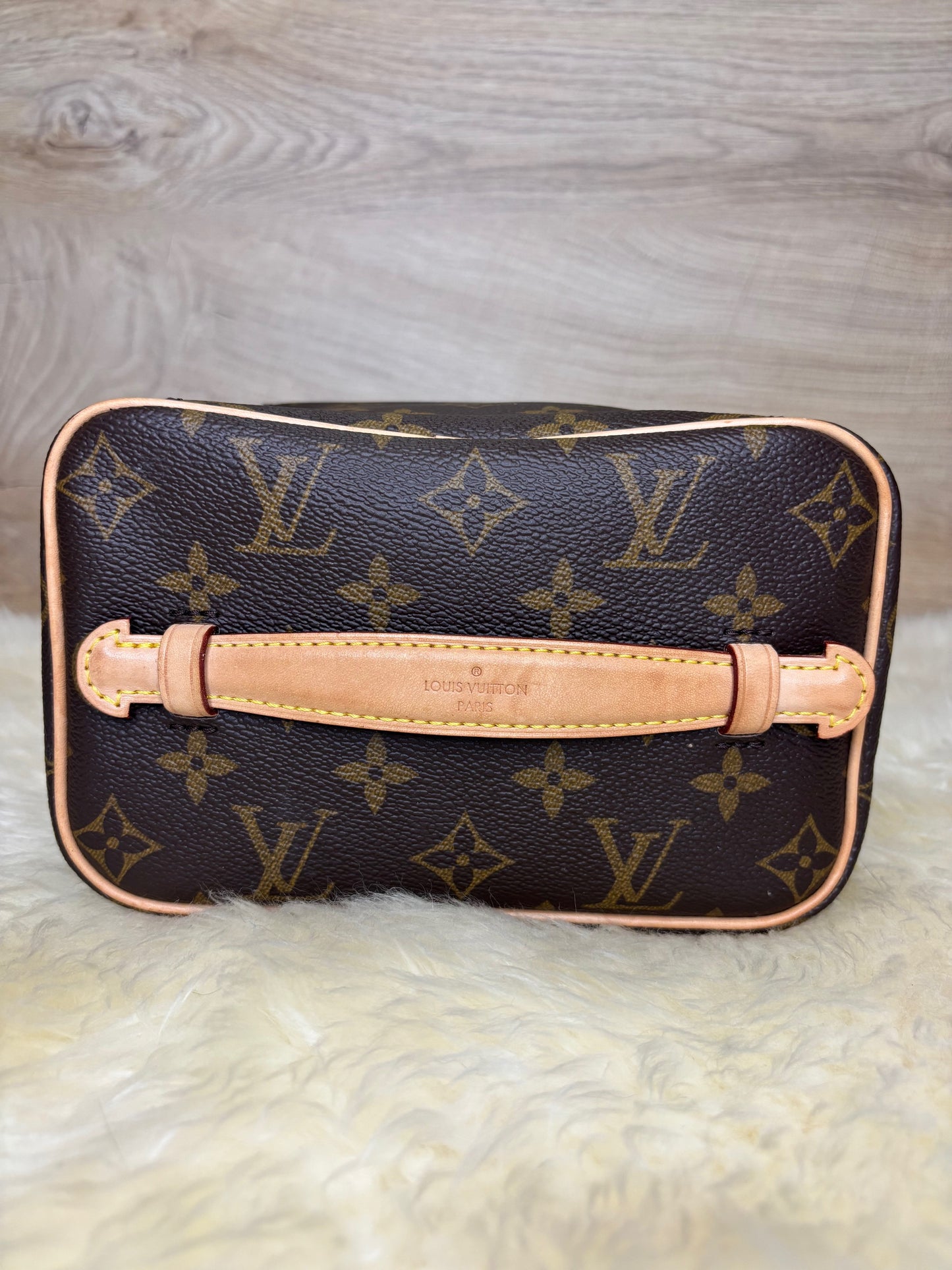 Louis Vuitton Nice Mini